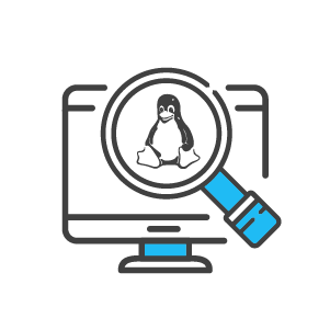 Linux Security Assessments